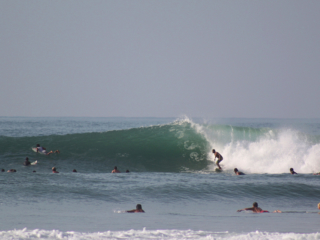 And as soon as the next big swell was back, the crowds came with it. thefreesurfer.com