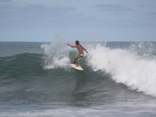 Fun size, open faces and peeling for ever.  thefreesurfer.com