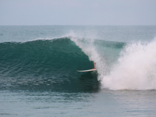 Barrel after barrel   thefreesurfer.com