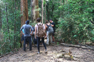 The next morning, we met another group just before we heard and found some Orangutans. This gave us a bit of an idea what this trip would be like during peak season (around June-August)! Bukit Lawang jungle trek thefreesurfer.com orangutan mina