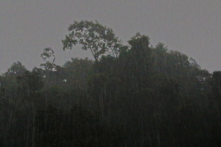 And then the rain came… More and more! Bukit Lawang jungle trek thefreesurfer.com rain