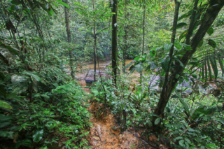 After a long day of hiking, (around 6 hours), we came down a little path, to where we were to spend the night. Bukit Lawang jungle trek thefreesurfer.com night camp